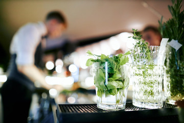 ingredients greens for cocktails in the bar at night