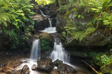 waterfall in the Black Forest in Germay with long exposure