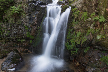 Fototapeta na wymiar Waterfall in Black Forest in Germany