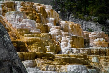 Fototapeta na wymiar mineral pools in yellowstone national park 