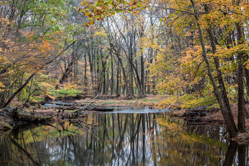 Autumn Reflections