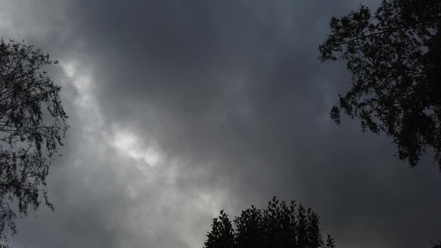 4k, 21 seconds, still shot of storm clouds and trees moving from strong wind.