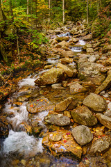 Stream cascading over rocky bed in forest