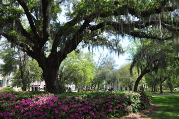 Habersham Community in Beaufort
