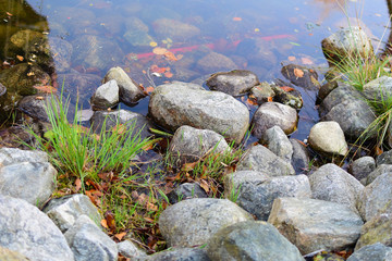 Water surface background with reflection.