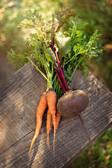 fresh organic vegetables