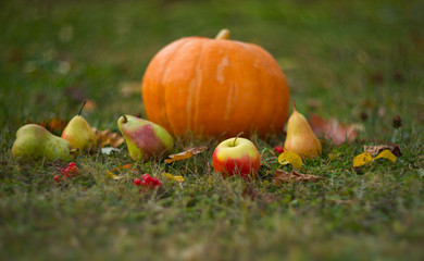 Pumpkin and apples with pears on the grass. Autumn harvest.