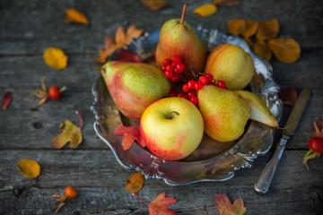 Ripe pears and apple on a silver plate on a wooden old table. Autumn still life.