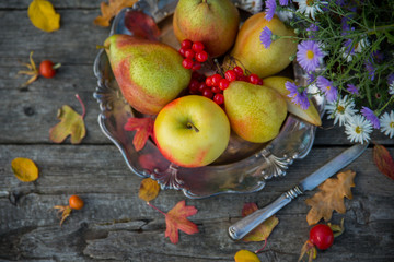 Ripe pears and apple on a silver plate on a wooden old table. Autumn still life.