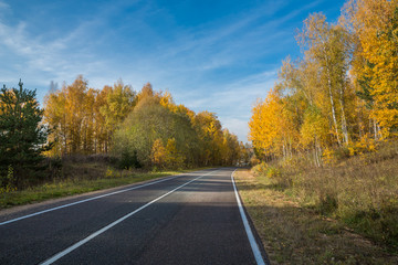 Highway, road and autumn trees with blue sky. Beautiful autumn natural landscape
