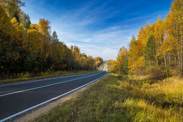 Highway, road and autumn trees with blue sky. Beautiful autumn natural landscape