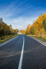 Fototapeta premium Highway, road and autumn trees with blue sky. Beautiful autumn natural landscape
