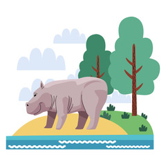 wild rhino animal in the landscape nature scene