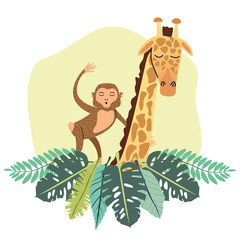 monkey and giraffe animal wild in the jungle