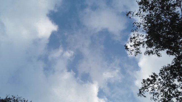 4k, 12 seconds, still shot pointing up at clouds.