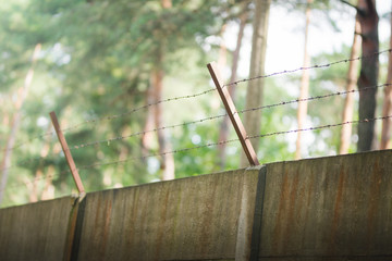 Barbed wire fence in the forest
