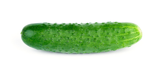 Cucumber on white background. Fresh ripe vegetable