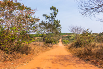 A rural landscape with a dirt road and farmhouses in the background, during the dry season in the interior of São Paulo state, Brazil, highlighting the impact of drought.