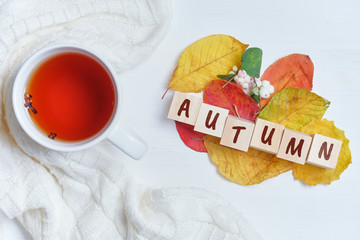 Top view concept autumn with tea and dry leaves