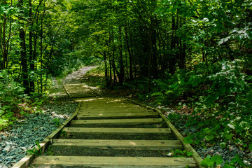 Obraz premium Walking at Escarpement park