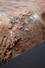 Mauerwerk Mauer bröckeln bröckende Steine Stein bröseln rau Beton Ziegel Zement abreißen Abriss grau