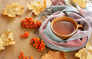 Autumn background with colorful leaves, tea wrapped in a scarf and rowanberry