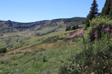 paysages du Mézenc