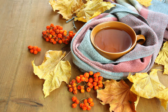 Autumn background with colorful leaves, tea wrapped in a scarf and rowanberry © Monika