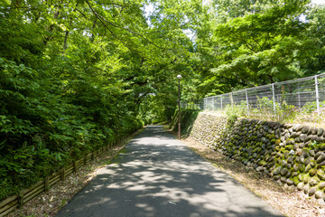 東京都立狭山自然公園