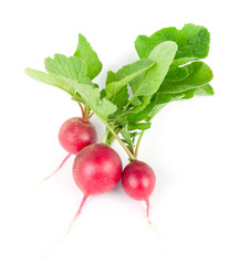 Radish on white background. Fresh ripe vegetables