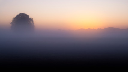 Morgenstimmung auf einem nebligen Feld bei Garbsen, Hannover