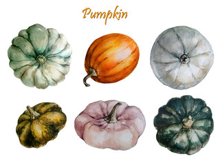 Watercolor set of different pumpkins and a sign.