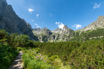 Beautiful mountains landscape during summer © Piotr Krzeslak