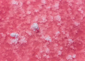 Background of salt crystal in the pink water; texture of salt in th water of pink lake