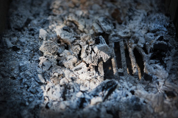 close up of charcoal on a fire