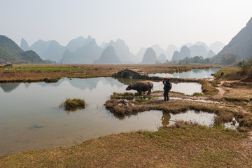 Fototapeta na wymiar China's natural landscape. A farmer is plowing the land. Guilin's misty peaks.