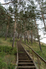 Old wooden stair in a deep russian forest on the North, cloudy summer day