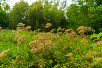 Walking and taking photos in Quebec city