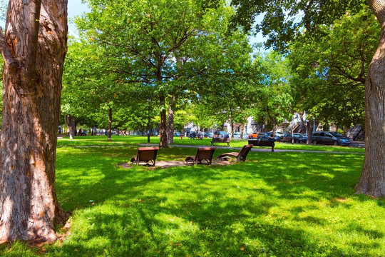 young woman relaxing in a park