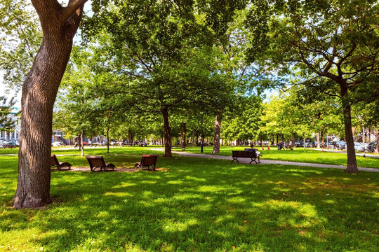 benches in the park