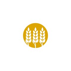 Wheat Logo Template vector symbol