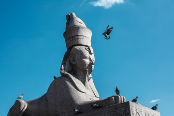 Antique egyptian sphinx sculpture from gray granite against blue sky with flying pigeon