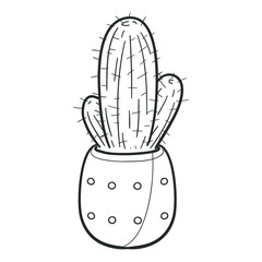 Cactus and Succulent Plant Pot, Traditional Doodle. Icons Sketch Hand Made. Design Vector Line Art.