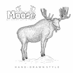 moose vector in hand drawn style. vintage animal illustration