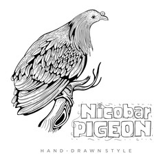 Fototapeta na wymiar vector of nicobar pigeon perched on tree trunk, hand drawn style realistic animal illustration
