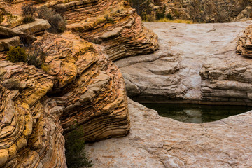 Colorful Weathered Patterns in Sandstone Surrounding The Pools of Ernst Tinaja,Big Bend National Park,Texas,USA