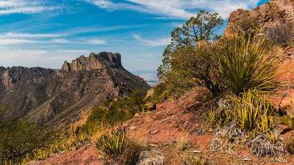 Obraz premium Casa Grande Peak on The Lost Mine Trail, Big Bend National Park,Texas,USA