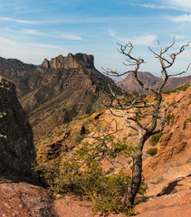 Casa Grande Peak on The Lost Mine Trail, Big Bend National Park,Texas,USA