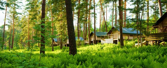 Glamping in the forest