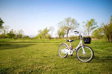 cyclist on the road